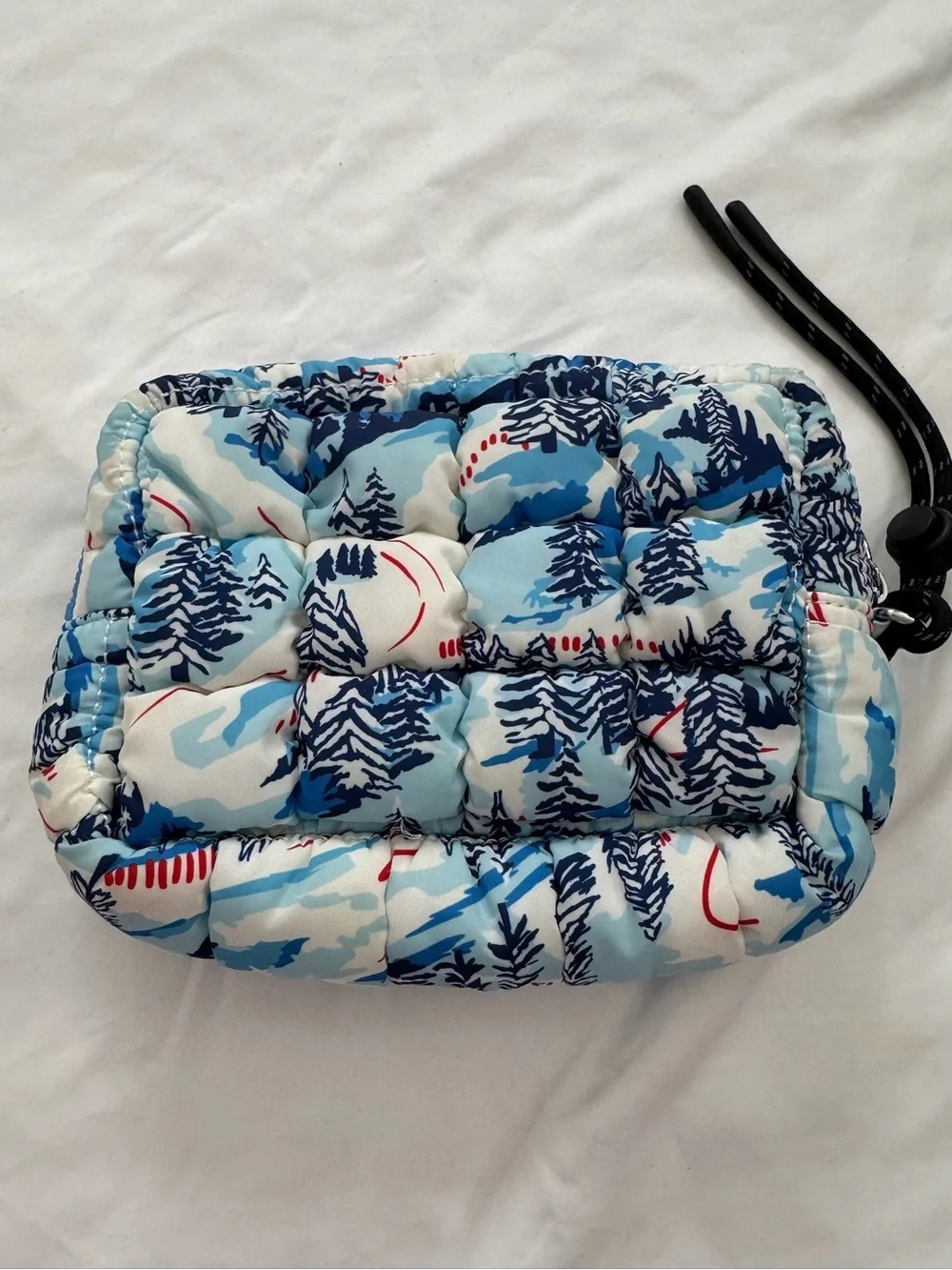 Free People Movement Quilted Mini Case in Alpine